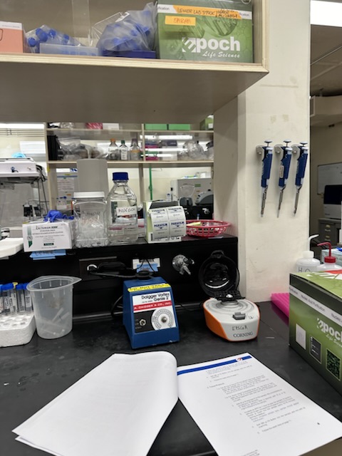 A lab bench with pipettes, a vortex mixer and supplies in the UOG Molecular Lab