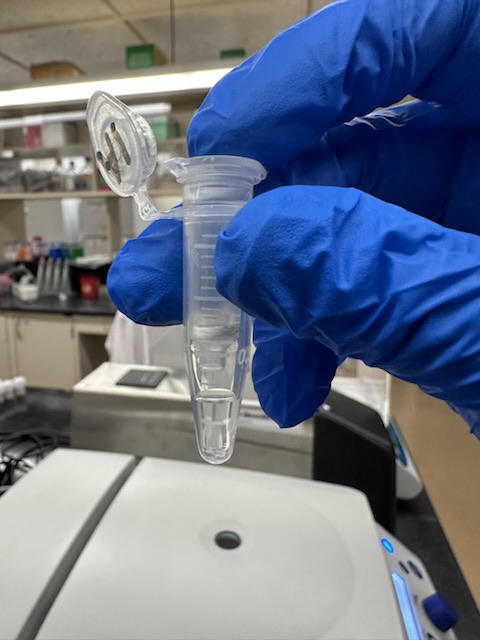 A gloved hand holding a small sample tube above a lab instrument